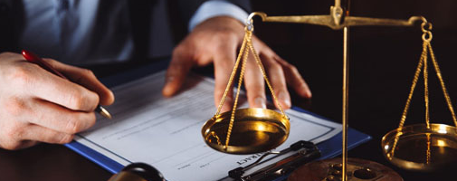 As Leis de Licitações e Contratos