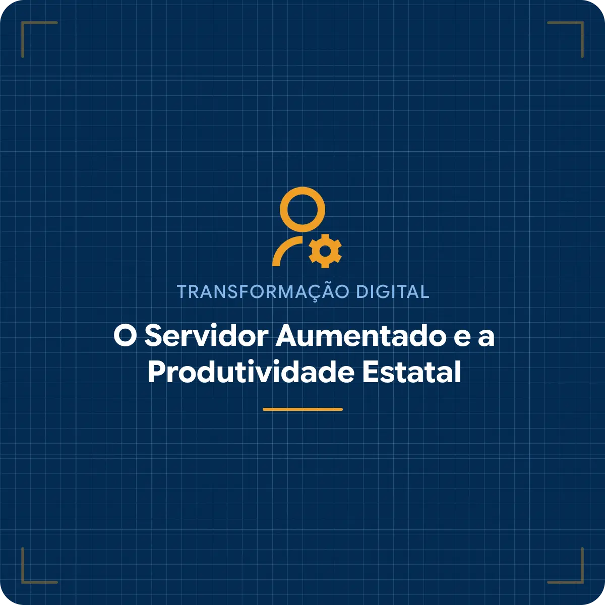 O Servidor Aumentado e a Produtividade Estatal