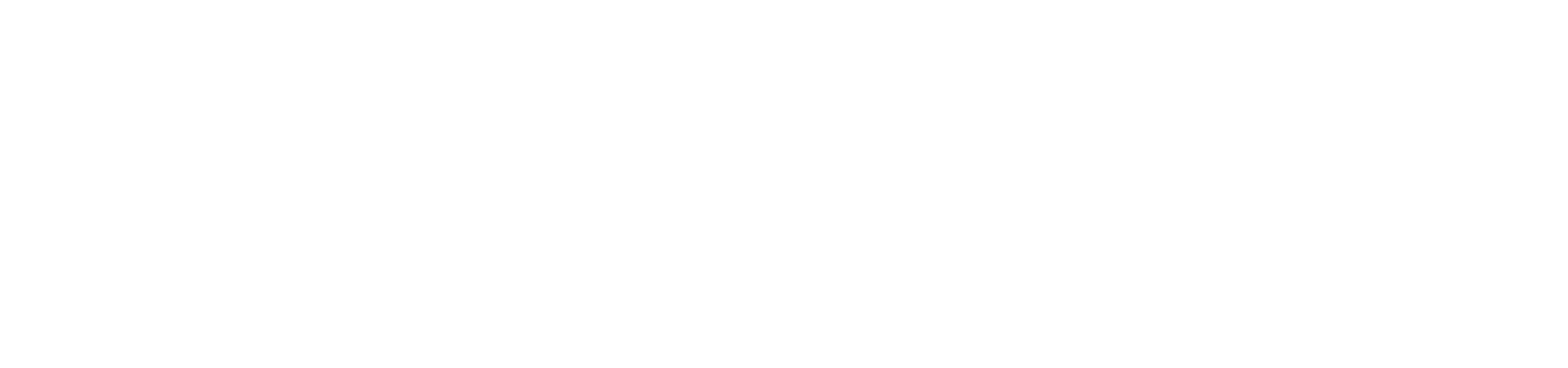 Instituto Brasileiro de Governança Pública
