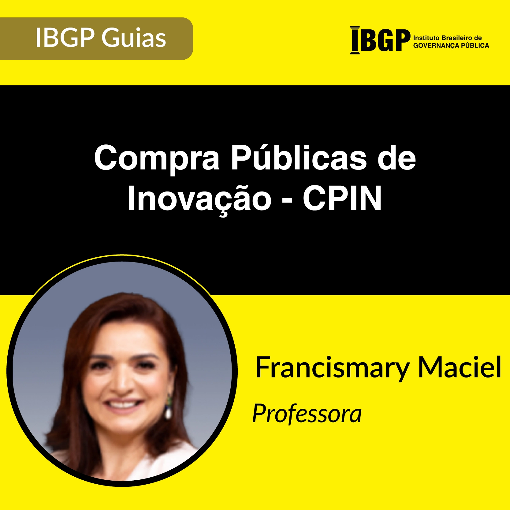IBGP Guia - Compra Públicas de Inovação - CPIN
